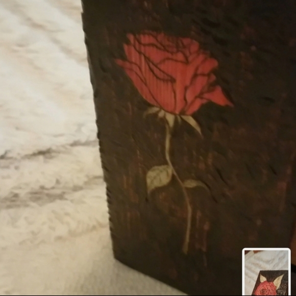 Meet your Posher, Ceara - Picture 10 of 16